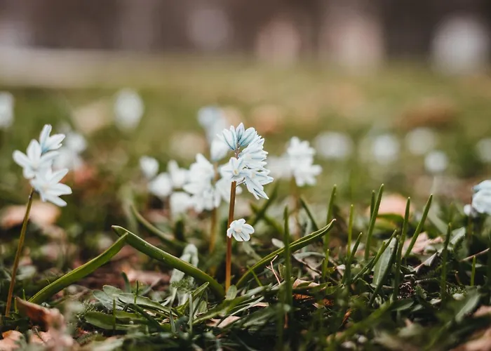 Ins Fischernetz - Maentele Affittacamere