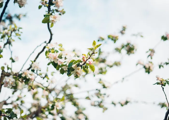 Ins Fischernetz - Maentele Affittacamere